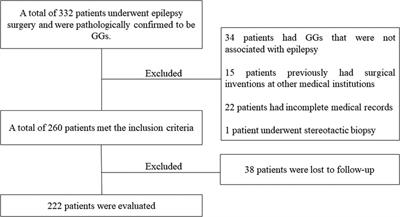 Seizure outcomes and prognostic factors in patients with gangliogliomas associated with epilepsy